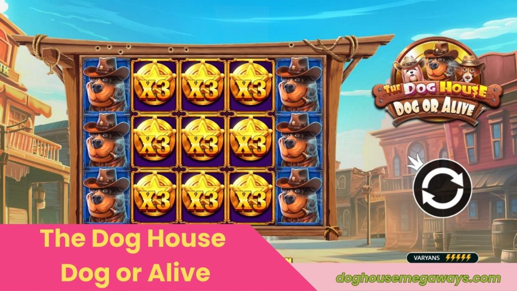 The Dog House - Dog or Alive